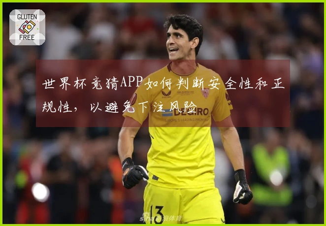 世界杯竞猜APP如何判断安全性和正规性，以避免下注风险