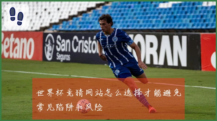 世界杯竞猜网站怎么选择才能避免常见陷阱和风险