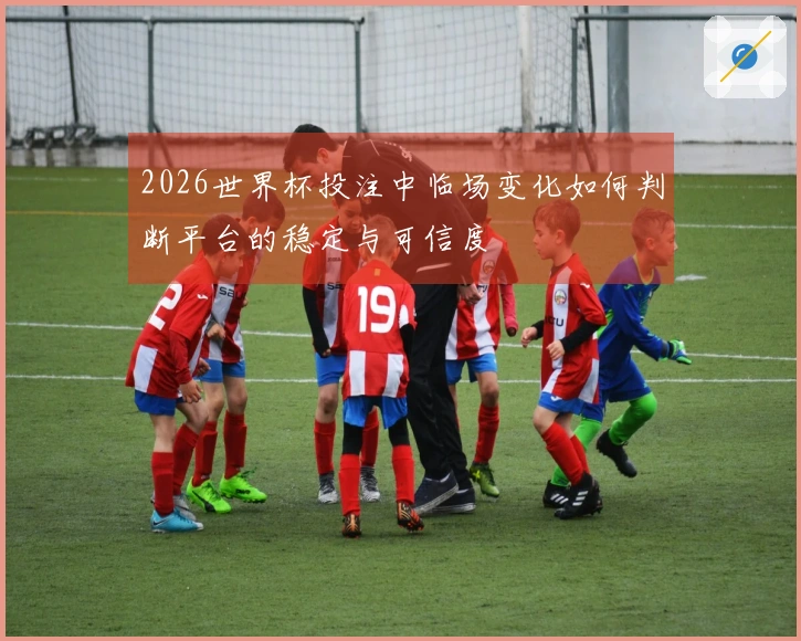 2026世界杯投注中临场变化如何判断平台的稳定与可信度