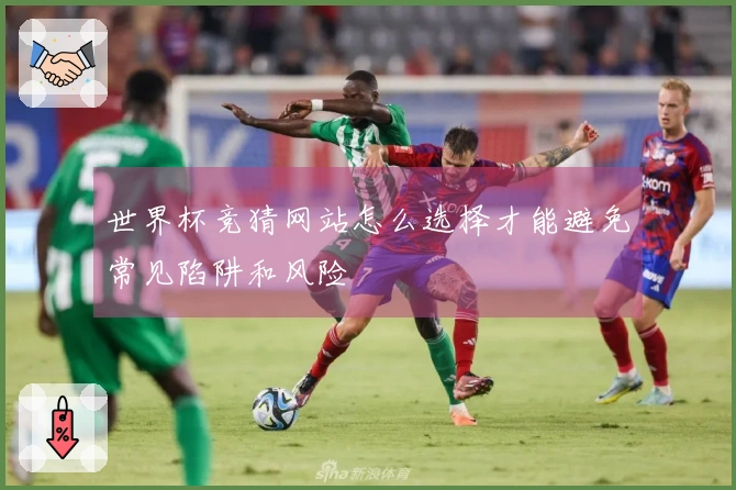 世界杯竞猜网站怎么选择才能避免常见陷阱和风险