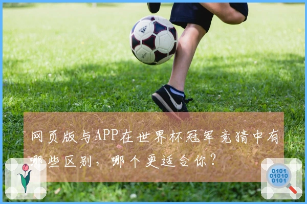 网页版与APP在世界杯冠军竞猜中有哪些区别，哪个更适合你？