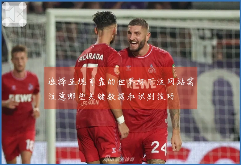 选择正规可靠的世界杯下注网站需注意哪些关键数据和识别技巧